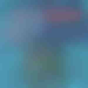 Greitai džiūstančios maudymosi trumpikės | TOGGIES