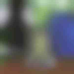 Unisex kuprinė su raišteliu | STRIPEBACK