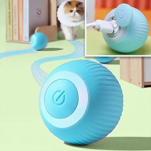 Automatinis kamuoliukas naminiams gyvūnams | BALLY