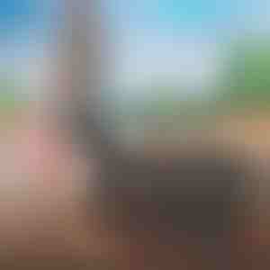 Lengvai supakuojamas kelioninis krepšys | FOLDARA