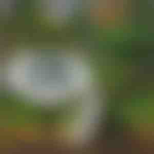 Lauko saulės grindų šviestuvai (3 vnt.) | LUMIGARD