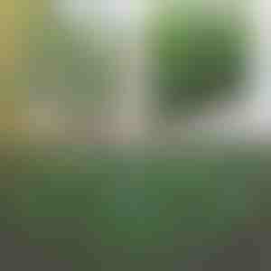 Dekoratyvinė ir praktiška tvora terasai ir sodui | GREENFENCE