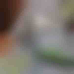 Naminių gyvūnėlių plaukų šalinimo šluota | PAWMOP